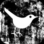 Follow us on Twitter